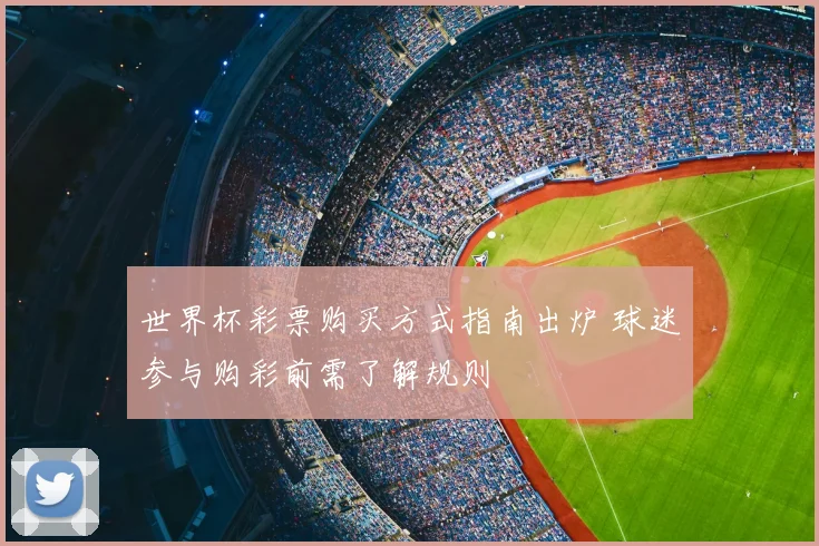 世界杯彩票购买方式指南出炉 球迷参与购彩前需了解规则
