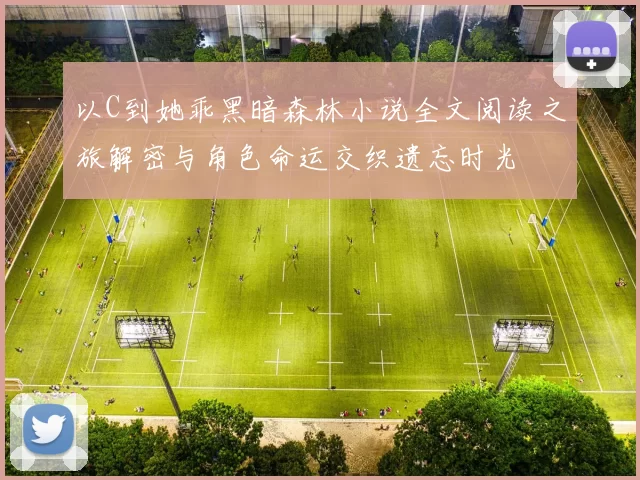 以C到她乖黑暗森林小说全文阅读之旅解密与角色命运交织遗忘时光