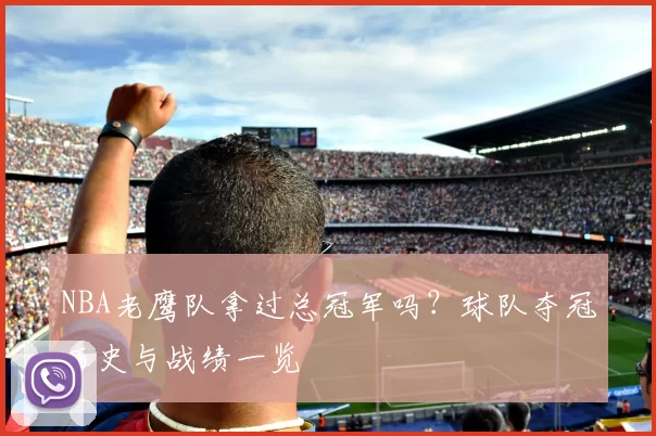 NBA老鹰队拿过总冠军吗？球队夺冠历史与战绩一览