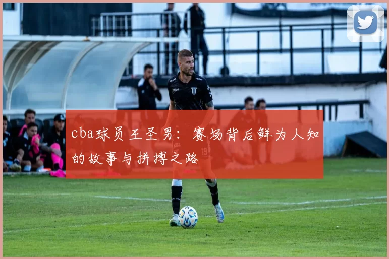 cba球员王圣男：赛场背后鲜为人知的故事与拼搏之路