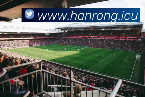 九游(NINE GAME)体育·官方网站 - 中国智慧体育科技领导者 - 九游体育发展历程